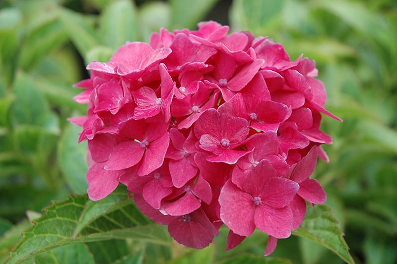 z3nashleighbaytala Help Center home page